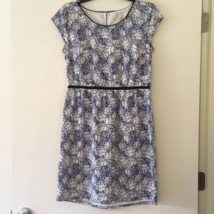 Loft summer dress: size 6